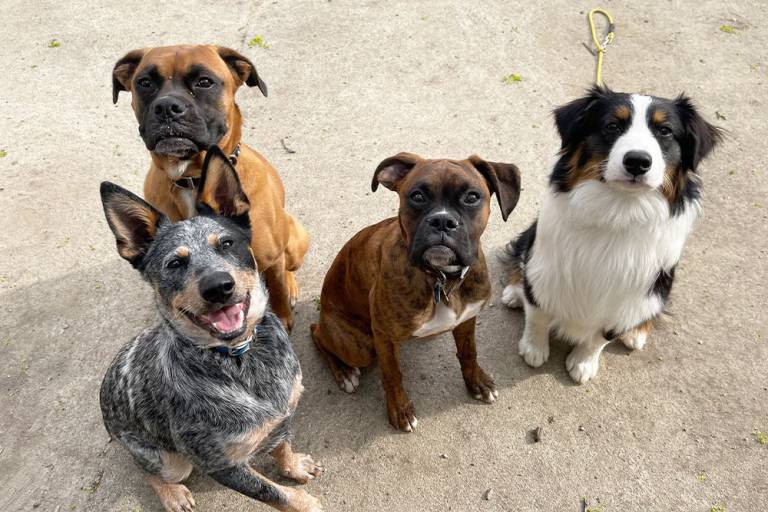 Structured Daycare